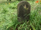 Der alte Friedhof - mitte_16